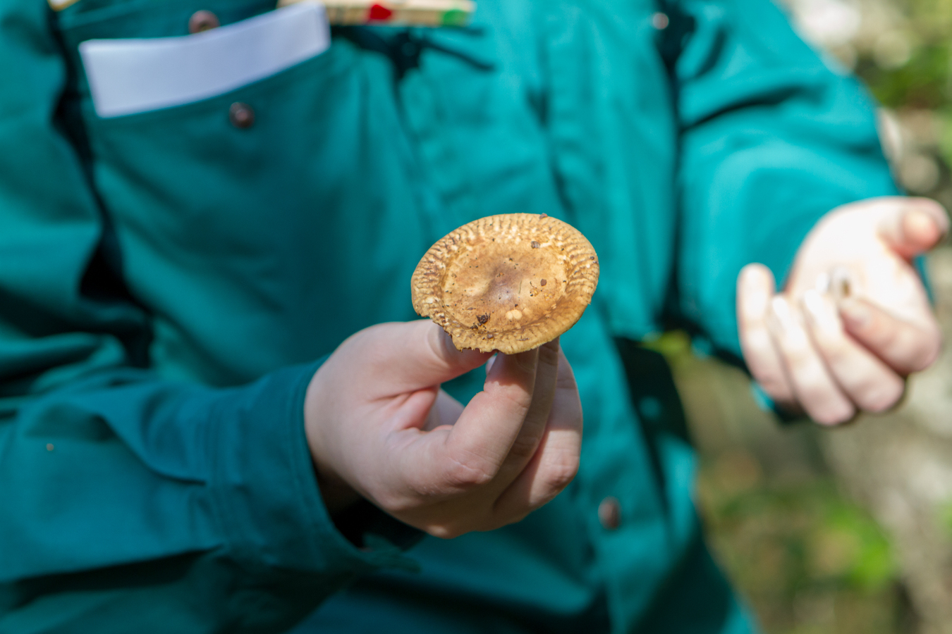 Spejderbarn med svamp i hånden