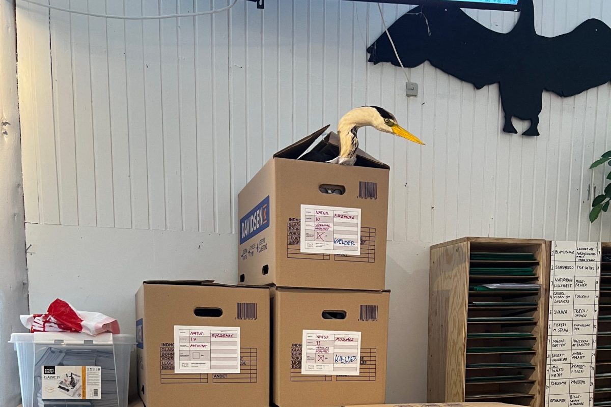 IMG_2811 Nedpakning af A-centret på Houens Odde